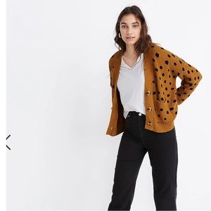 MADEWELL Hillview Cardigan Sweater in Painted Spots